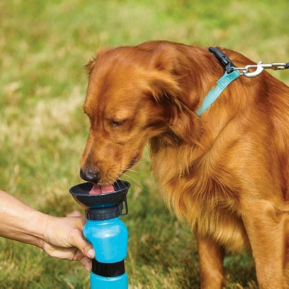 Pet Sipper Portable Aqua Fresh Water Pump Bowl Bottle Mug Cup for Pets | 2-in-1 Leak-Proof Travel Water Dispenser for Dogs & Cats | Easy to Use, Lightweight & Eco-Friendly Pet Hydration Bottle