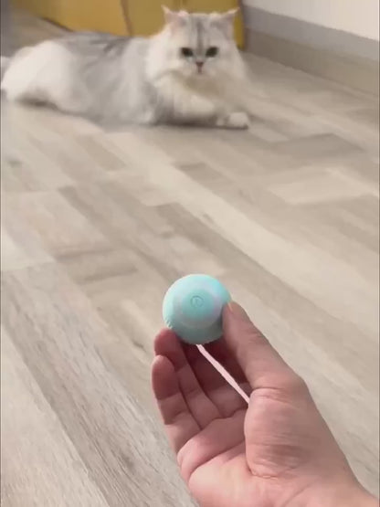 Intelligent Cat Toy Ball – 360° Rolling Fun, Interactive & Automatic (Pack of 1)
